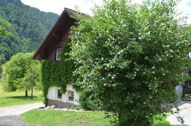 Ferienwohnung Grünau im Almtal