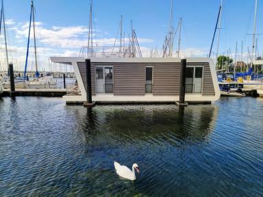 Schiff  Heiligenhafen