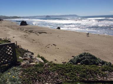 House Cayucos