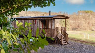 Cabin Whitecroft