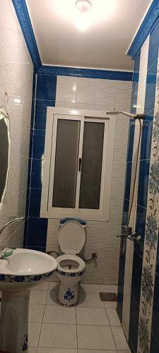 foto11