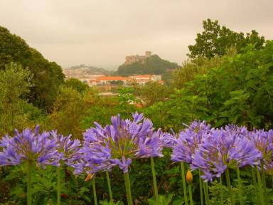 Bed and breakfast  Leiria