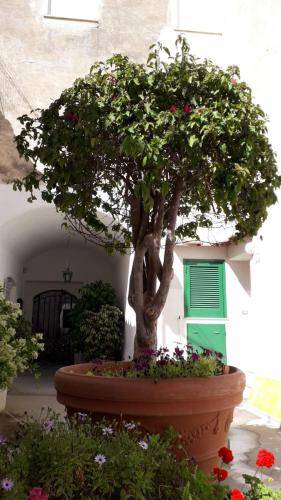 Bed & Breakfast Capri