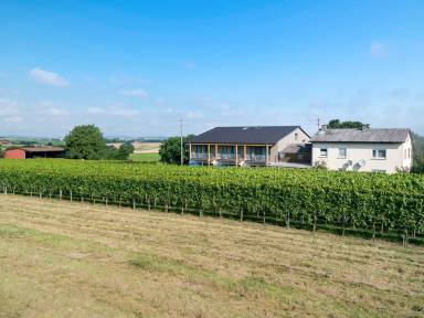 Ferienwohnung Terrasse/Balkon Cleebronn