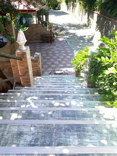 foto4