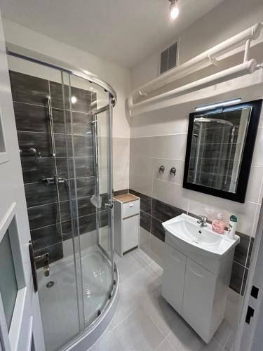 Apartmán Horní Polubný