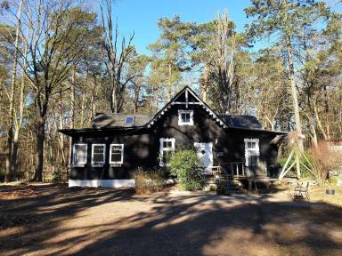 Lodge Schäpe
