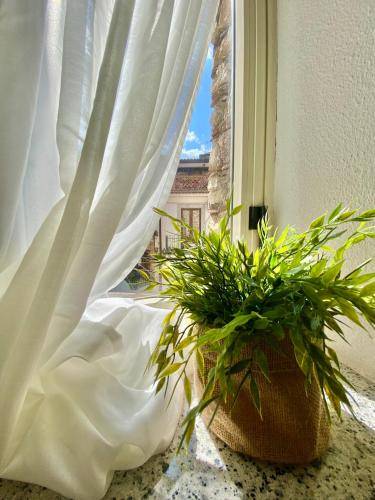 Tao House — photo 5