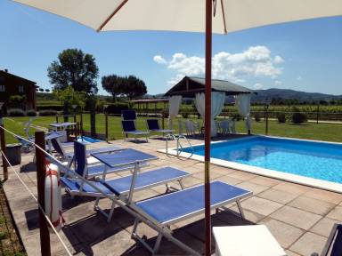 Apartment Pool Brufa