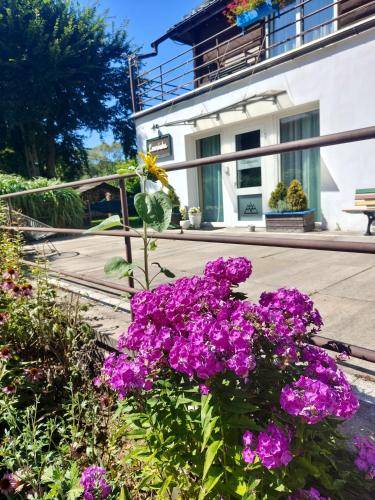 Bed & Breakfast Cisna