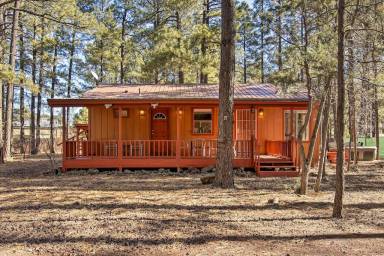 Cabin Pinetop