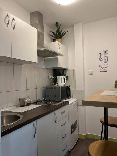 Apartman Satu Mare