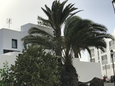 Apartment  Corralejo