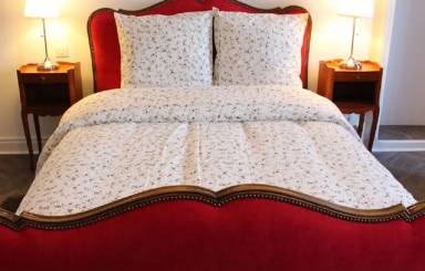 Appartement Luxeuil-les-Bains