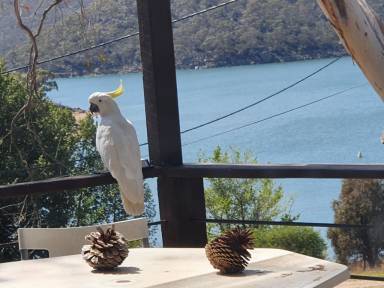 House Jindabyne