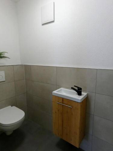 foto4