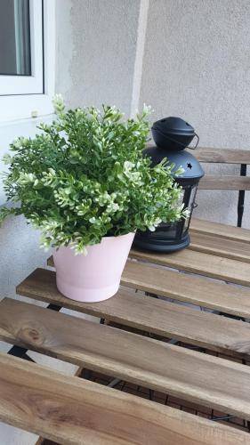 Apartament Orłowo
