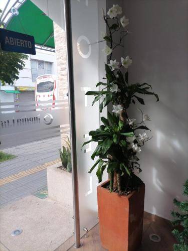foto15