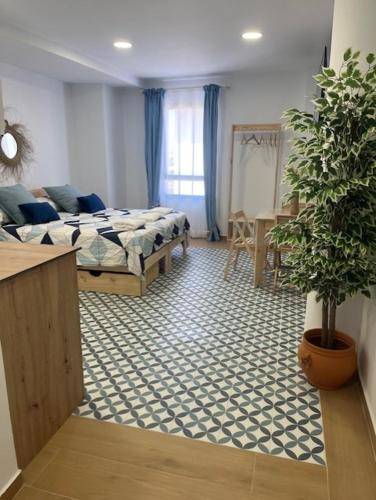 Apartamento Alcira