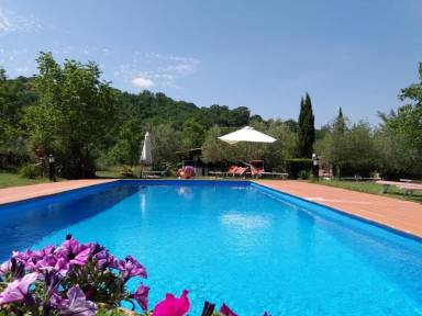 Apartment Pool Castelnuovo di Val di Cecina