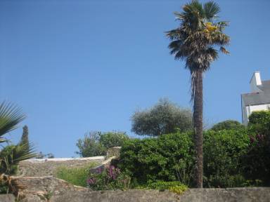 Appartement Belle-Île-en-Mer