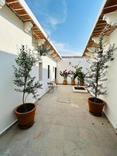 Casa Tequisquiapan