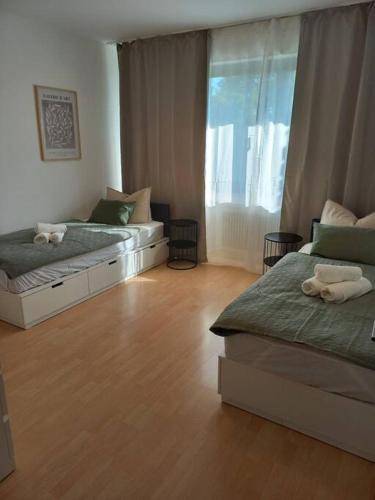 foto13
