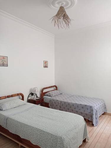 foto19