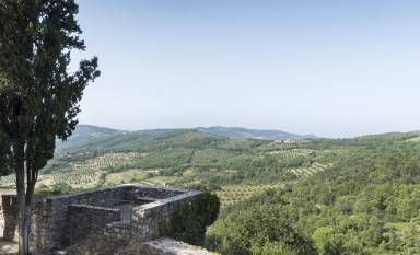 House Pet-friendly Monte del Lago