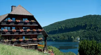 Boutique - Hotel Alemannenhof