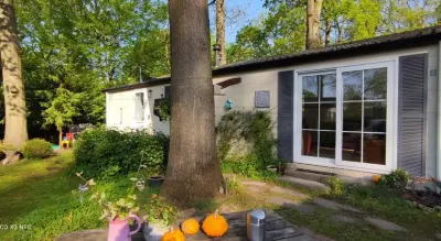 Ferienhaus mit Pool | Hunde erlaubt