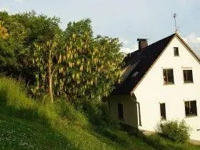 Ferienhaus  Hallenberg