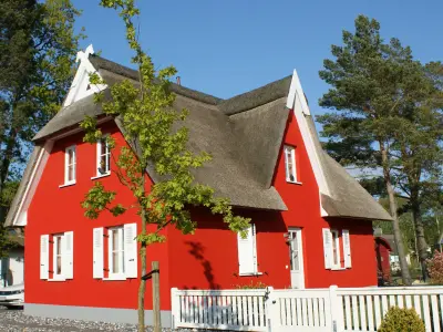 Kinderfreundliches charmantes Ferienhaus mit Pool und Sauna | Neben dem Strand | Haustiere erlaubt