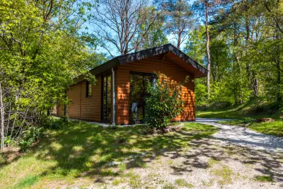 Luxuriöse Wellness-Lodge mit Hot Tub und Sauna in den Wäldern von Drenthe. Genießen Sie Ruhe und Natur.